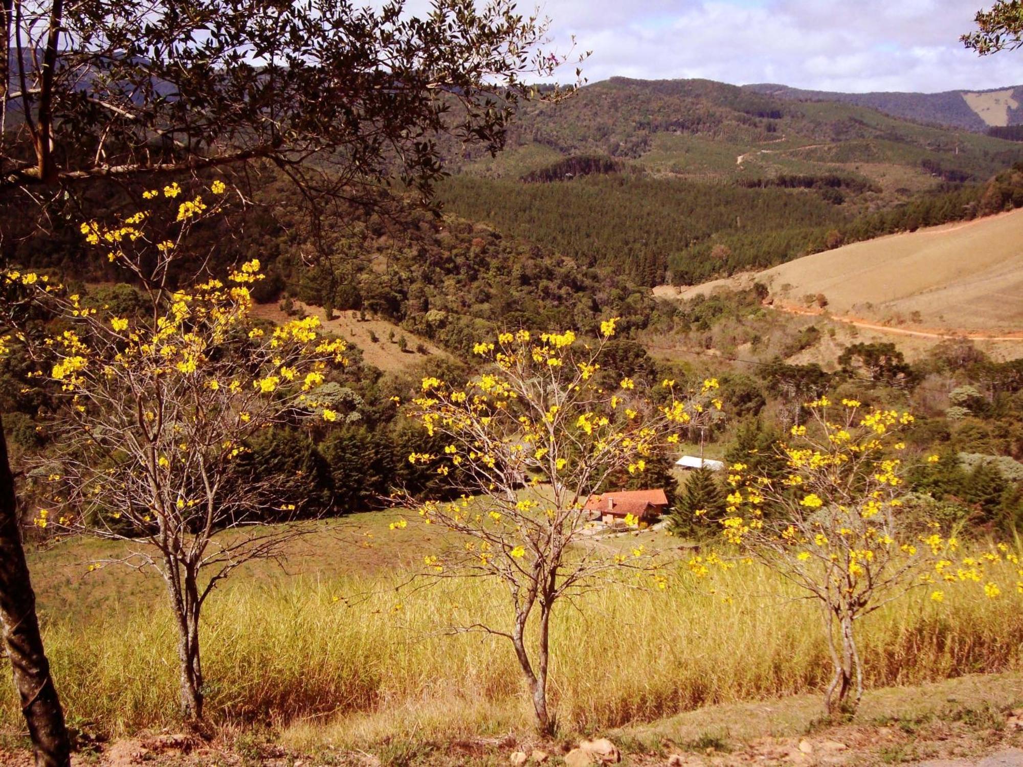 Chales Estrada De Chao Monte Verde  Exterior foto